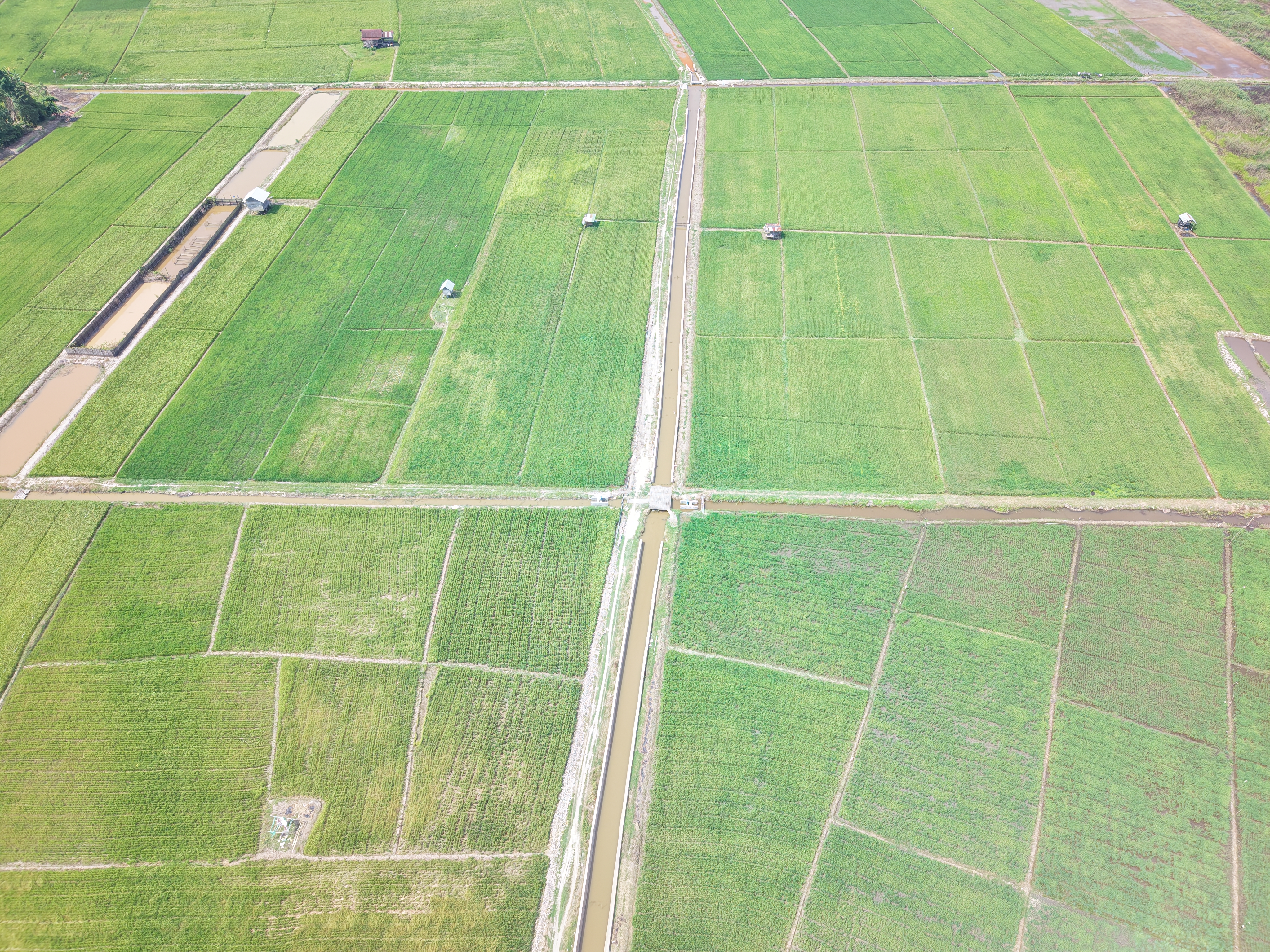 Irigasi Kalimantan Timur 4